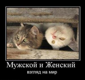 post-3619-13129948397238_thumb.jpg