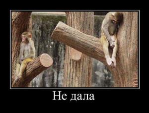 post-3619-13129948418171_thumb.jpg