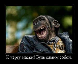 post-3619-13129948504863_thumb.jpg