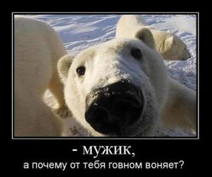post-3619-13129949465259_thumb.jpg