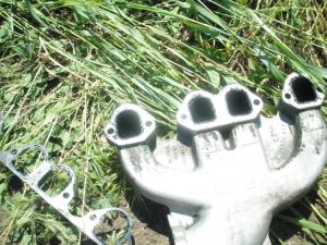 post-5257-13129948272816_thumb.jpg