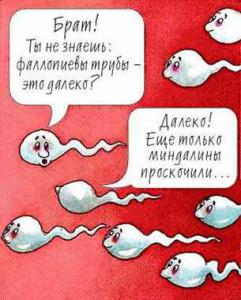 post-1370-13129941945775_thumb.jpg
