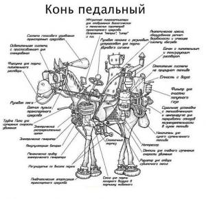 post-1460-13129940326079_thumb.jpg