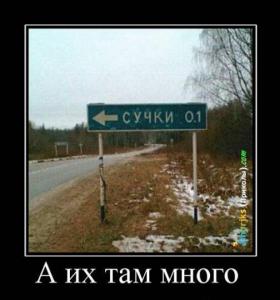 post-1467-13129950302766_thumb.jpg