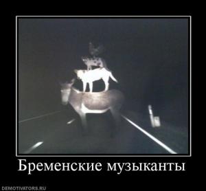 post-2018-13129949148291_thumb.jpg