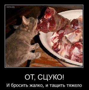 post-2018-13129950729298_thumb.jpg