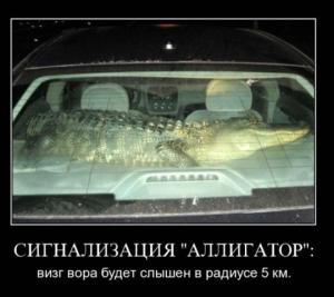 post-2099-13129946399993_thumb.jpg