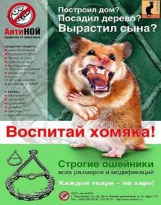 post-2104-13129941578_thumb.jpg
