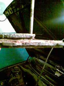 post-2799-13129941962078_thumb.jpg