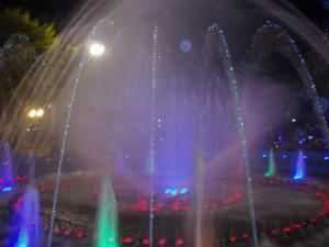 P9060150.JPG