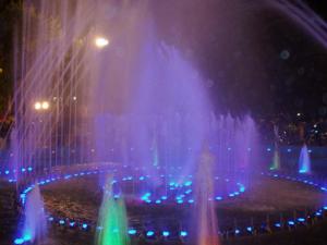 P9060151.JPG