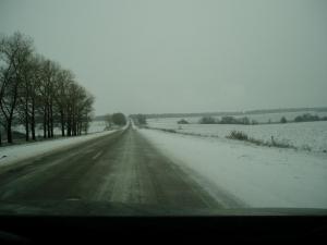 P1010004.JPG