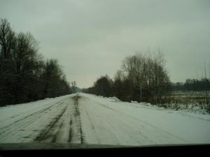 P1010008.JPG