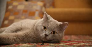 IMG_2406s.jpg
