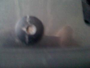 post-3012-13129945098558_thumb.jpg