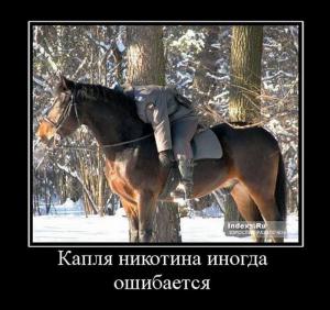 post-3619-13129944723524_thumb.jpg