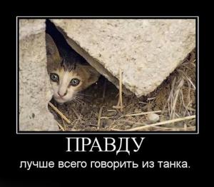 post-3619-13129946413648_thumb.jpg