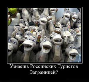 post-3619-13129946414981_thumb.jpg