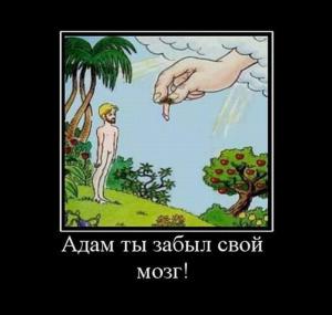 post-3619-13129948227237_thumb.jpg