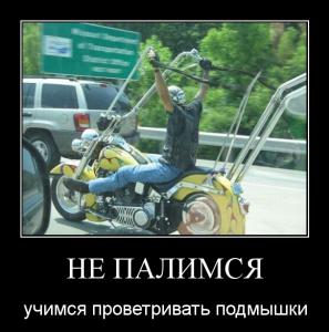 post-3619-13129948228519_thumb.jpg