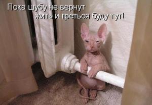 post-3619-13129948318056_thumb.jpg