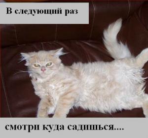 post-3619-1312994832031_thumb.jpg