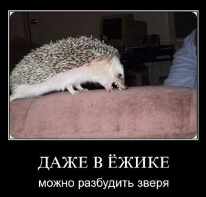 post-3619-13129948376481_thumb.jpg