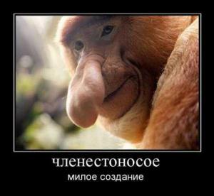 post-3619-1312994850428_thumb.jpg