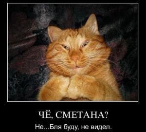 post-3619-1312994924622_thumb.jpg