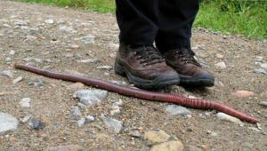 1241768409_worm_05.jpg