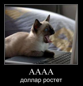 post-6371-13129950367465_thumb.jpg