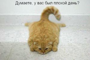 post-7-13129938654187_thumb.jpg