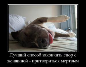 post-9931-0-33015100-1380027192_thumb.jpg