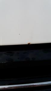 post-12358-0-95405600-1442166352_thumb.jpg