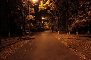 IMG_1784s.jpg