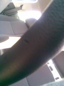 post-2141-0-54755400-1320764155_thumb.jpg