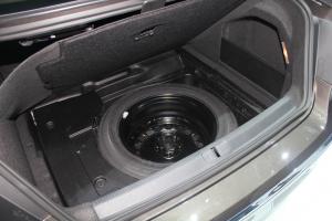 IMG_4398_resize.JPG