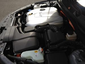 IMG_0202_resize.JPG