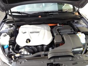 IMG_0199_resize.JPG