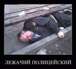 post-11241-0-66607300-1354428954_thumb.jpeg