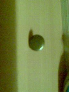 post-18227-0-91141600-1386343714_thumb.jpg
