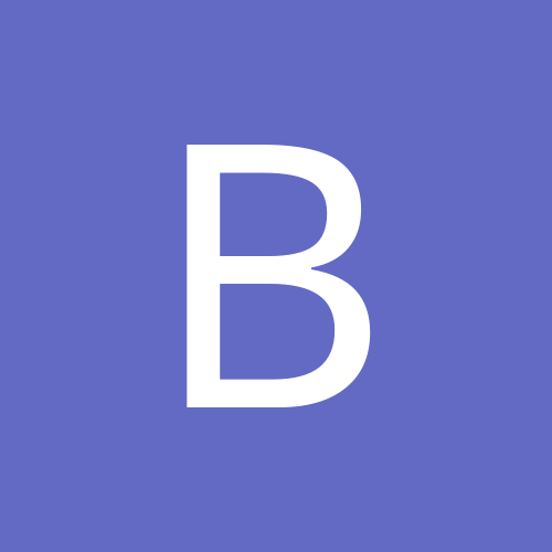 Bivisok