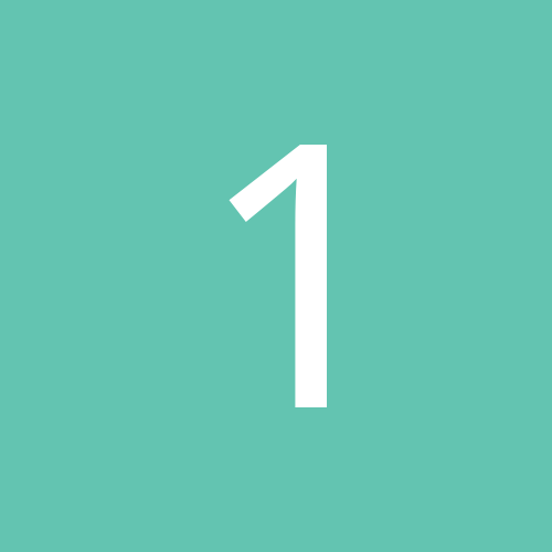 19alex81