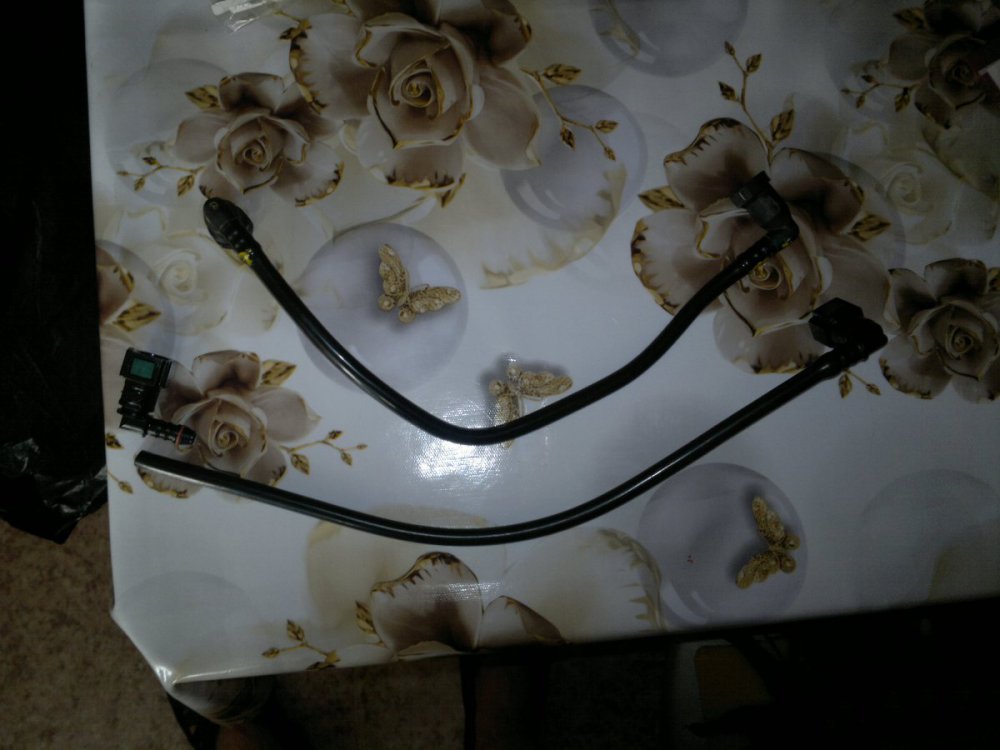 2019-03-30-199.thumb.jpg.dce9d5c1b1d29547121501a52d72cacf.jpg