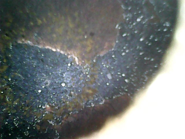 2019-03-03_11-12-01-94.jpg
