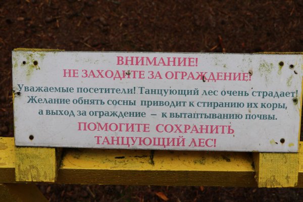 IMG_0031.JPG