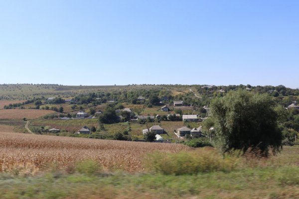 IMG_0911_.JPG