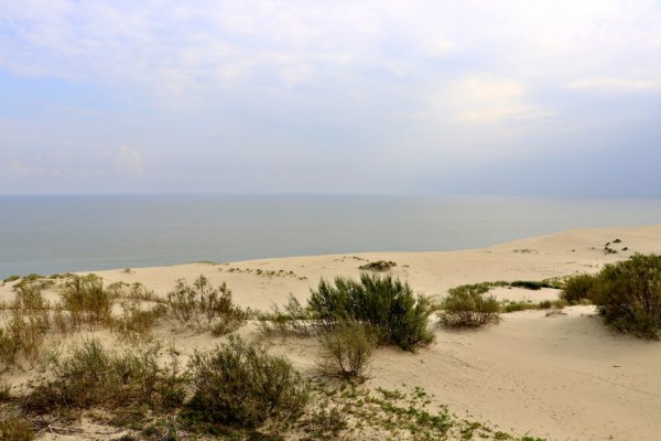 IMG_9993.JPG