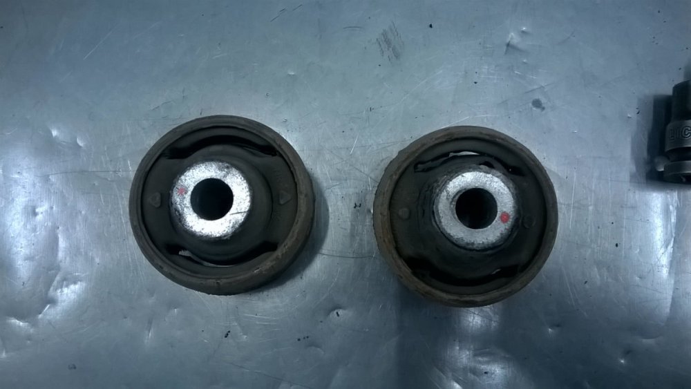 WP_20191004_16_58_09_Pro.jpg
