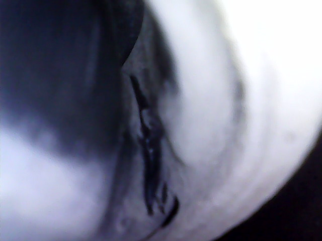 20191026_1554044.png